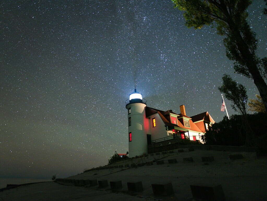Michigan forest canopy